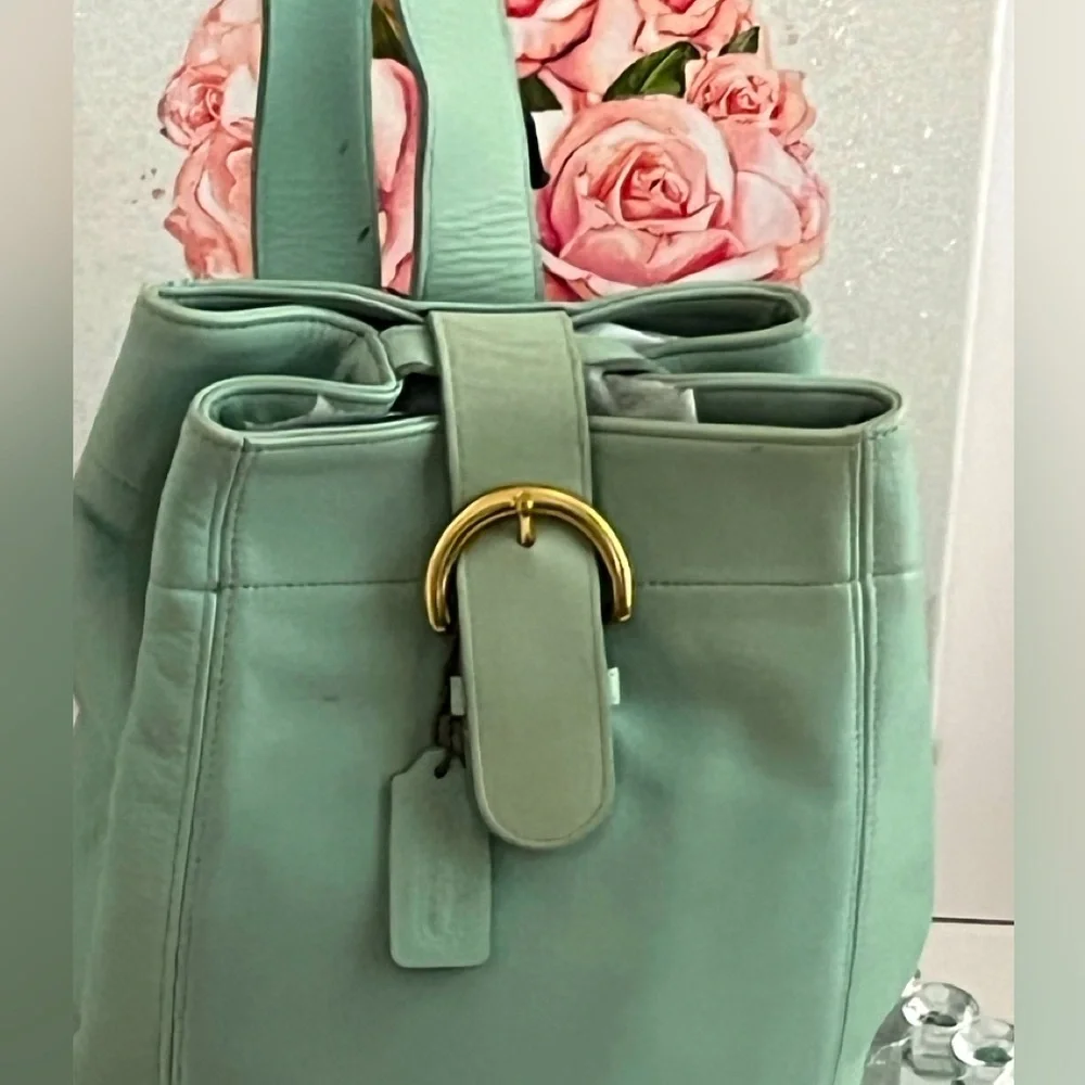 Coach chic mint